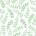 NetEnt电子天降版-NetEnt电子官方平台APP安装_IOS/Android/手机通用版下载